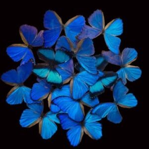 🦋BUNDLED PURCHASE🦋